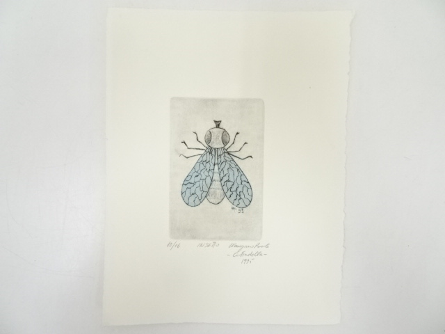 Hobbies & Collectibles